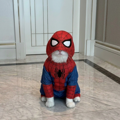 Cat Costumes